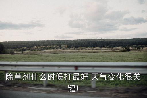 菜地什么天氣打農藥,菜地有蝸牛用什么農藥