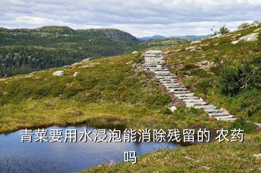  青菜要用水浸泡能消除殘留的 農藥嗎