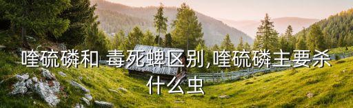 毒死蜱農藥殺什么蟲,氯毒死蜱主要殺什么蟲