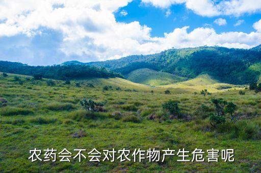 小麥噴農藥有什么影響,現在小麥打什么農藥