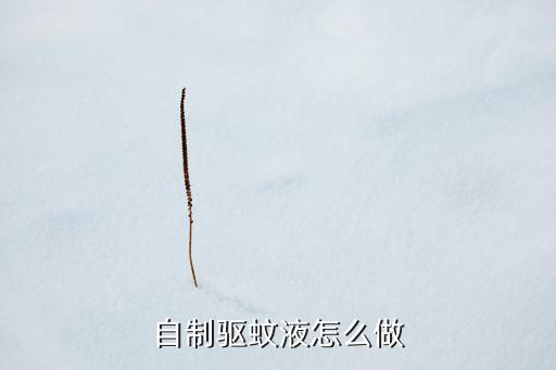 自制驅(qū)蚊液怎么做