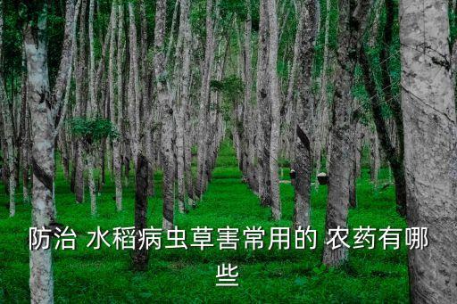 防治 水稻病蟲草害常用的 農藥有哪些