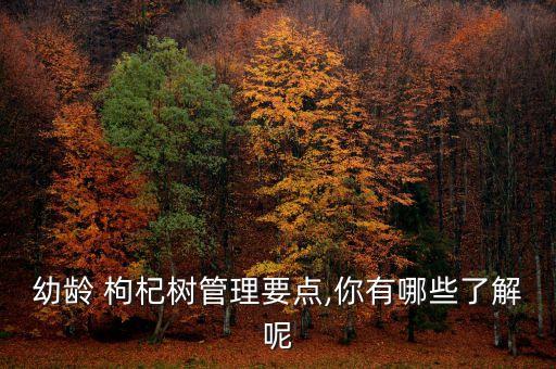 幼齡 枸杞樹管理要點,你有哪些了解呢