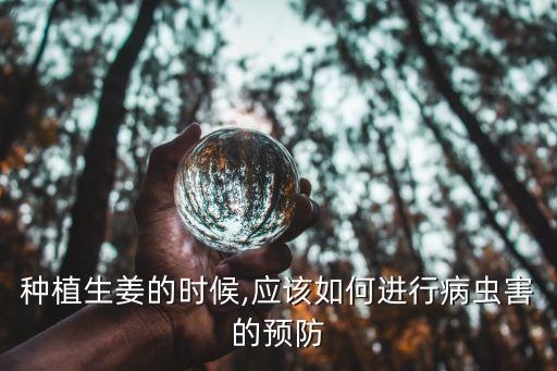 種姜用什么農藥,種土豆用什么農藥最好