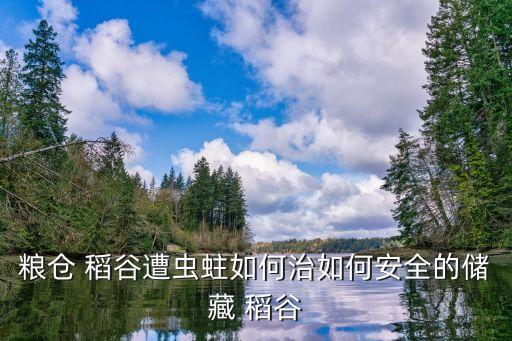 稻谷火煙包用什么農(nóng)藥預(yù)防