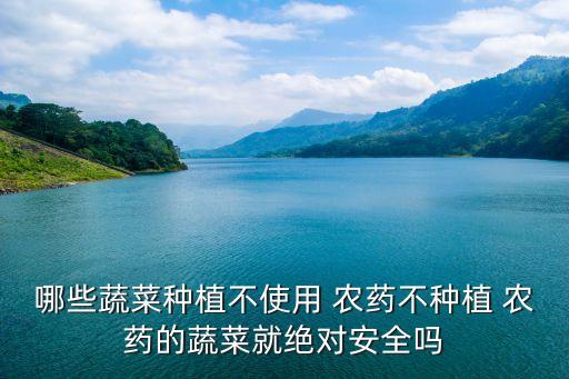 哪些蔬菜種植不使用 農藥不種植 農藥的蔬菜就絕對安全嗎