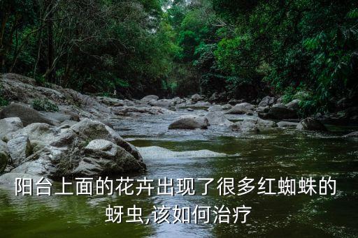 陽臺上面的花卉出現了很多紅蜘蛛的 蚜蟲,該如何治療