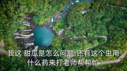 我這 甜瓜是怎么問題,還有這個蟲用什么藥來打老師幫幫忙