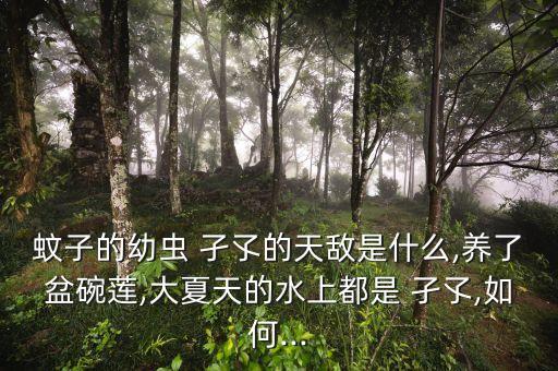 殺水中孑孓用什么農(nóng)藥好,孑孓在水中用什么呼吸