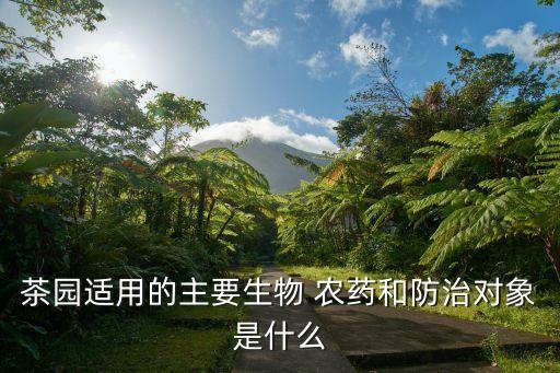 噴茶專用農藥是什么藥,不噴農藥的蔬菜是什么蔬菜