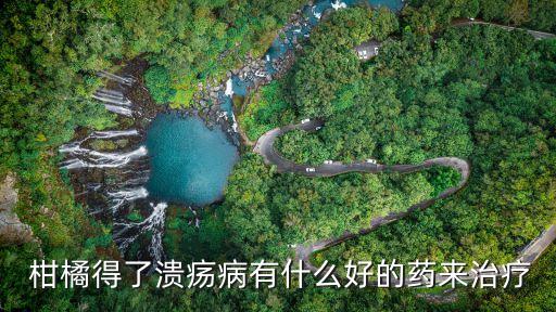 柑橘農藥用什么藥代替好,三月份柑橘打什么農藥