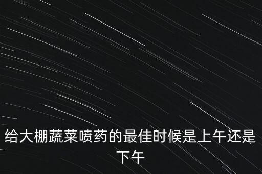 給大棚蔬菜噴藥的最佳時候是上午還是下午