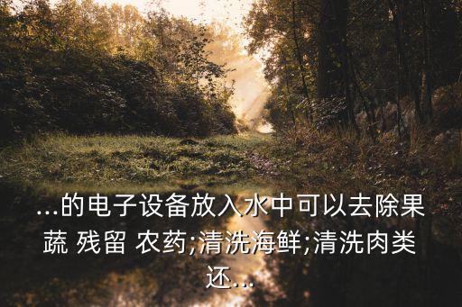 ...的電子設(shè)備放入水中可以去除果蔬 殘留 農(nóng)藥;清洗海鮮;清洗肉類還...