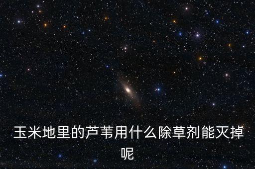 玉米地里的蘆葦用什么除草劑能滅掉呢