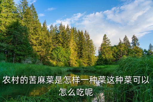 苦苦菜用什么農(nóng)藥,喝苦苦菜水什么效果