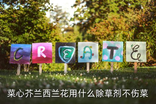 噴菜心用什么農藥,菜心噴什么藥可長得快