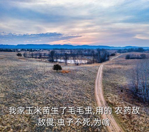 農藥為什么打不死人呢,為什么cf打不死人