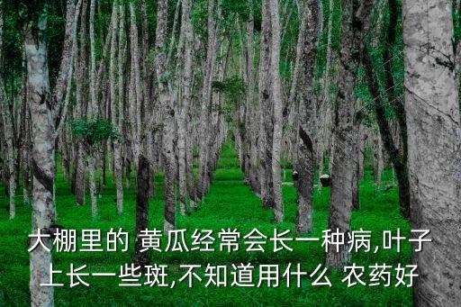 黃瓜買什么農(nóng)藥,黃瓜打了農(nóng)藥多久可以吃