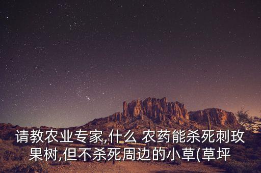請教農業專家,什么 農藥能殺死刺玫果樹,但不殺死周邊的小草(草坪