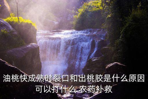 油桃樹用什么農藥,桃樹油怎么處理