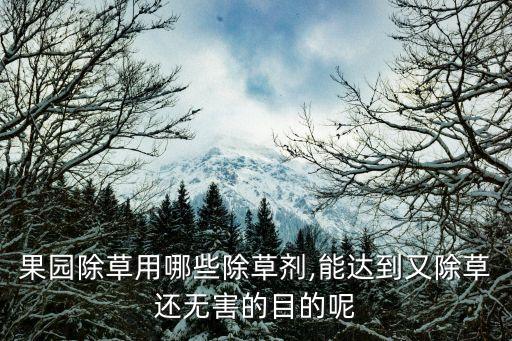 什么農藥殺草不傷苗子呢,殺節節草用什么農藥