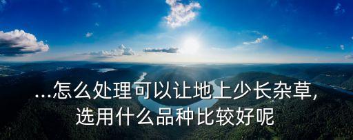 荒田的草用什么農(nóng)藥,什么農(nóng)藥可以讓草寸草不生