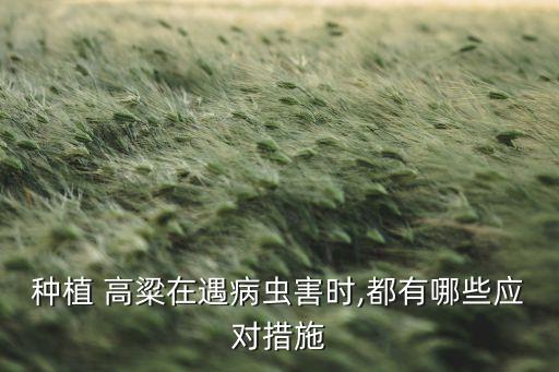 高粱都是用什么農藥殺蟲