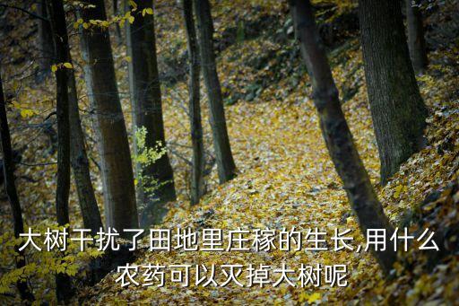 木頭樹用什么農藥,有什么農藥可以把樹毒死