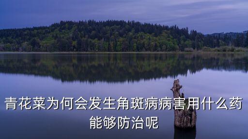 角班病用什么農(nóng)藥,過氧乙酸農(nóng)藥治什么病