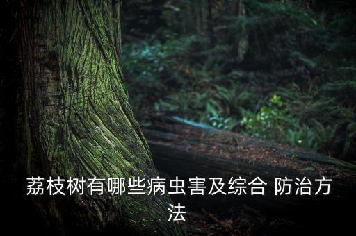 荔枝帝蛀蟲用什么農(nóng)藥防治,荔枝蒂蛀蟲專用農(nóng)藥