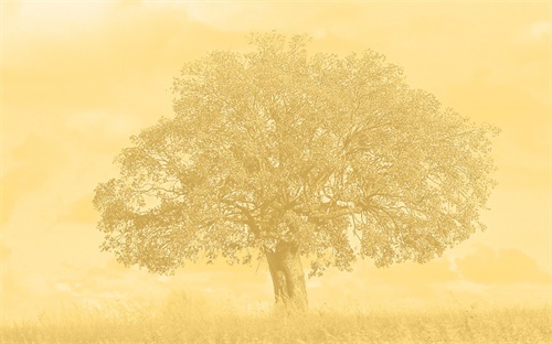 廢LED屬于什么垃圾分類,廢農藥屬于什么垃圾分類