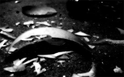 什么農藥對桂花根洑,桂花打什么農藥