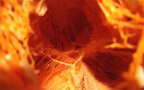 黃萎病吃什么農藥,茄子黃萎病最好的農藥