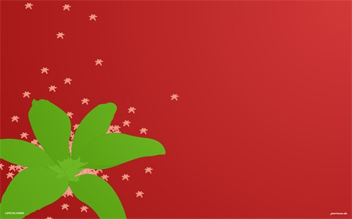 農藥稻杰能打什么草