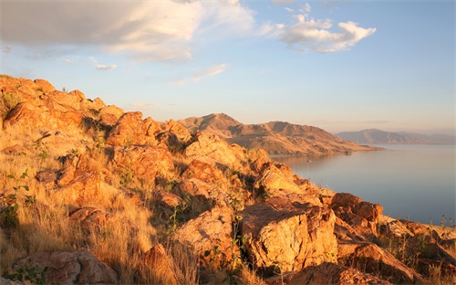 什么農藥不污染土地呢,農藥污染對其他有什么危害
