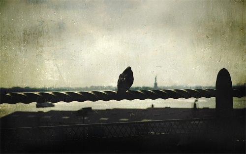 什么農藥可代替磷化鋁