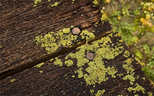 農藥登記保證金是什么